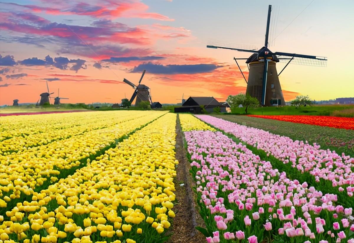 罕见的25面额纸币,17世纪的科学家出现在风车王国的钞票上