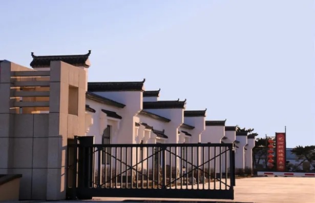 90后新农人回乡创业乡村振兴,大学生返乡创业与乡村振兴