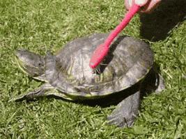 起床后要不要喝杯水？养成这20个好习惯让你受益终生