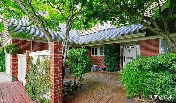 水泥地面院子如何降温,夏天农村屋子太热怎么降温