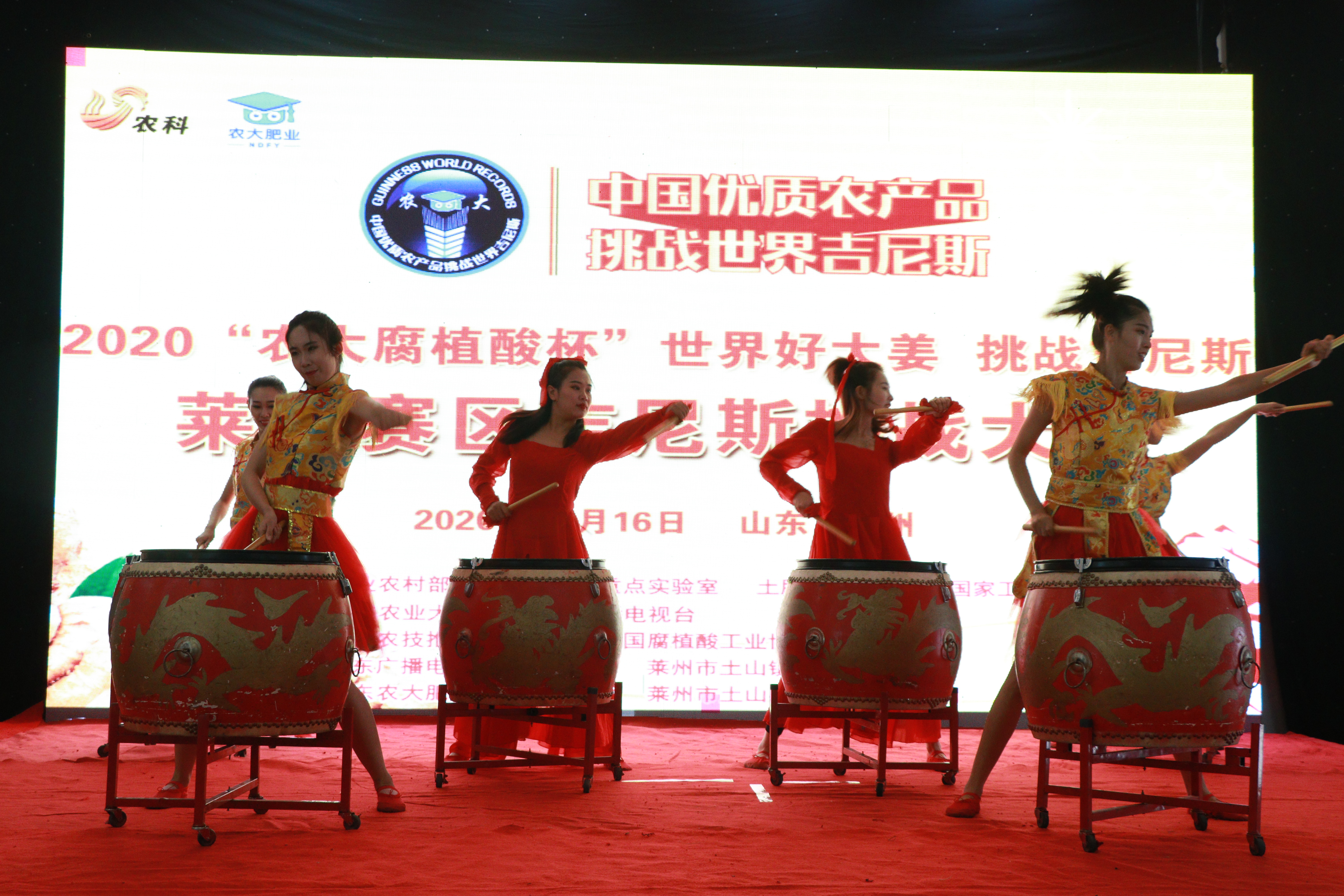 大姜获高产,山东农大肥业获得吉尼斯世界纪录