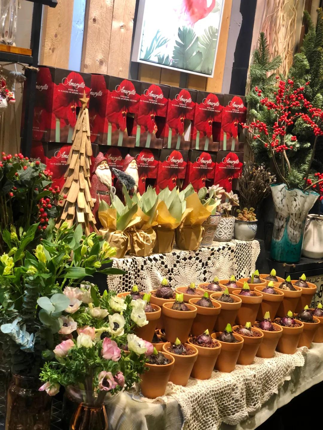 都市花语门票多少钱,都市花语免费阅读