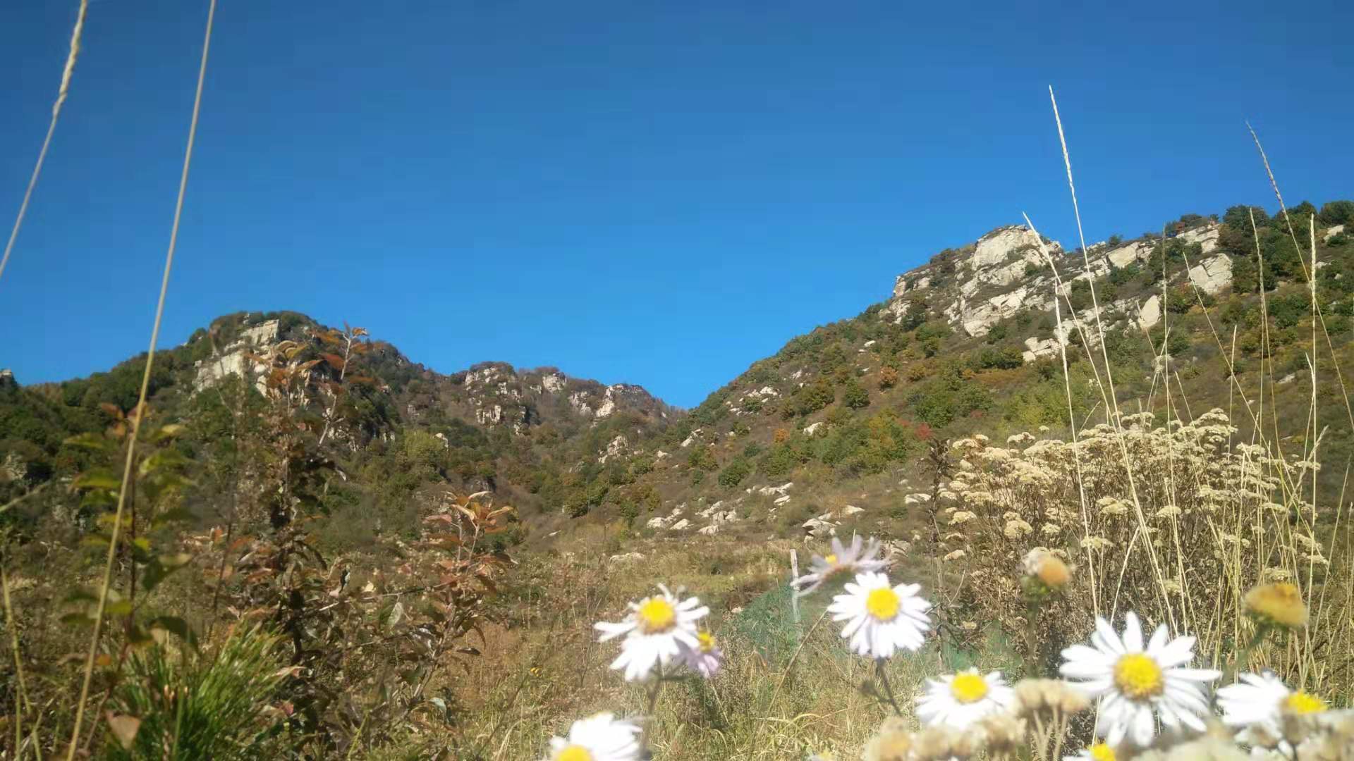 老龙头的传说故事,老龙山传说