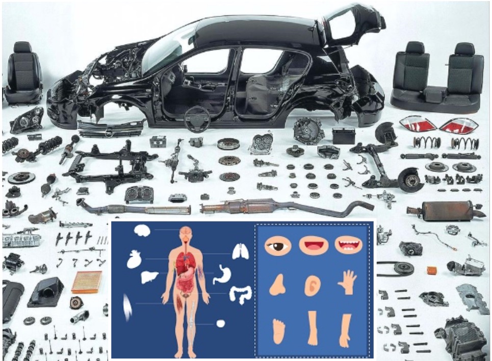 澳洲修车需要个人什么条件,澳洲修车为什么这么贵