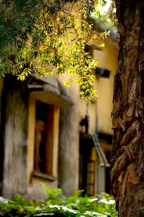 “为什么要养娃？”31岁职场上升期，我辞掉高薪工作做了全职妈妈