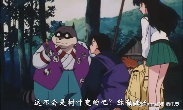 灵魂莲华锤石蠢狸猫,你的调皮小可爱已上线图片