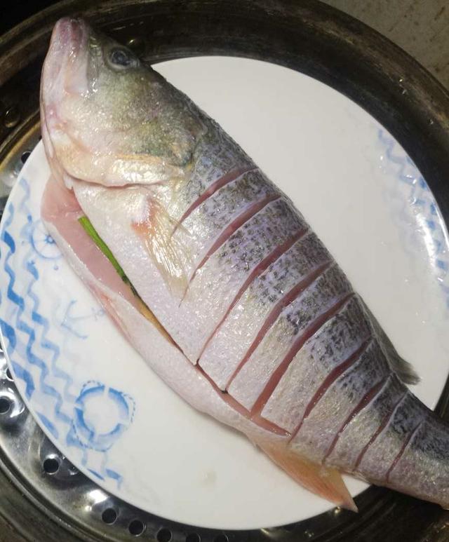 清蒸鲈鱼怎么蒸鱼鱼不烂,清蒸鲈鱼的正确方法没蒸鱼豉油