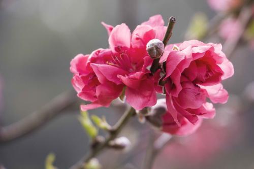 票据瑕疵包括危及票据权利的安全,票据辨别技巧和方法有哪些