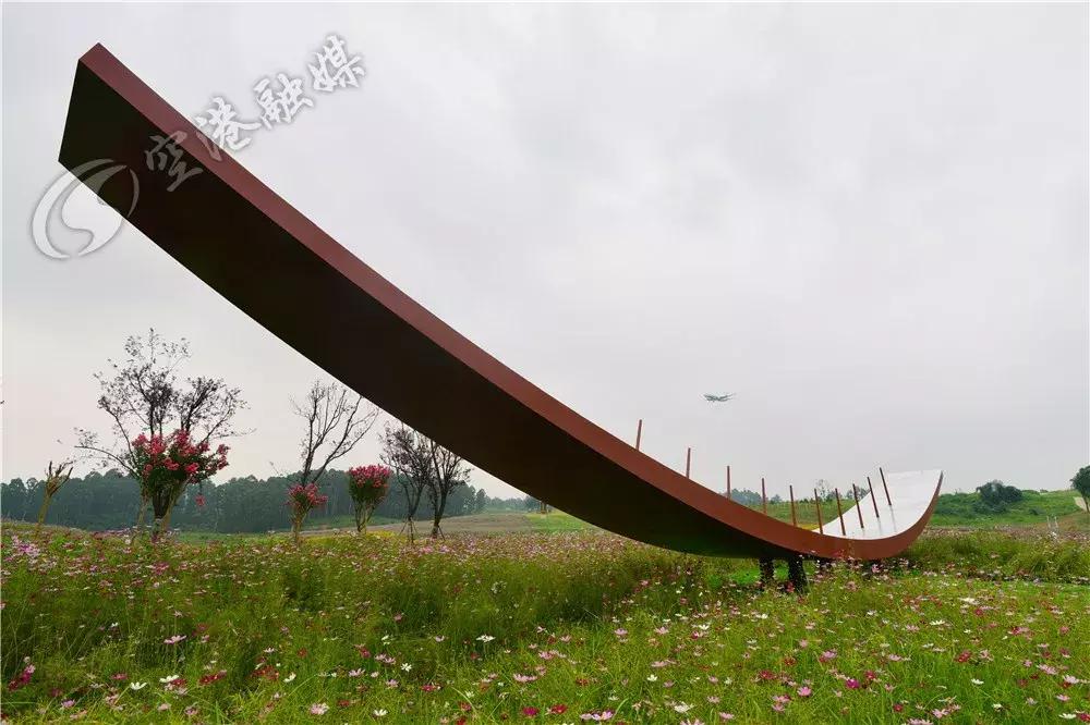 双流哪里可以赏花看飞机,双流附近赏花攻略路线