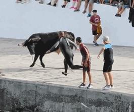 被牛角顶了是什么感觉,被牛角顶了是什么样
