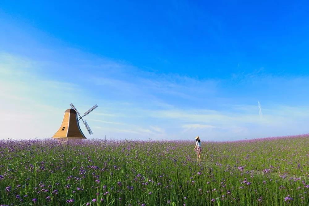 晚上的海棠湾,海棠湾真的很美