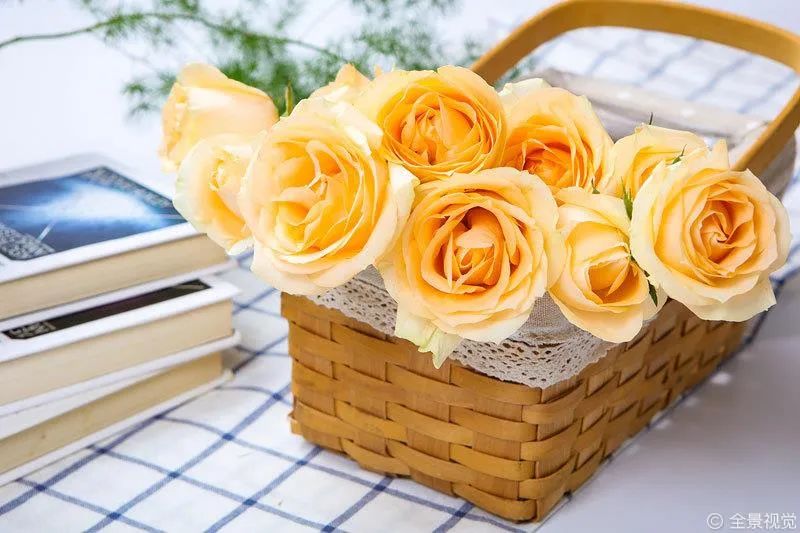 祝贺老师教师节快乐的图片,教师节给老师的玫瑰花语