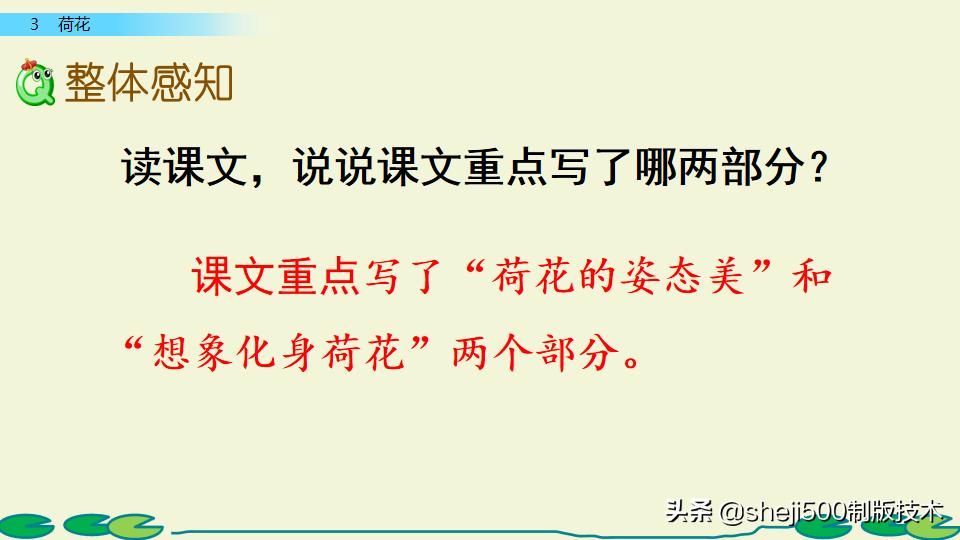 部编版三年级下册语文3荷花讲解,三年级下册部编语文荷花教学视频