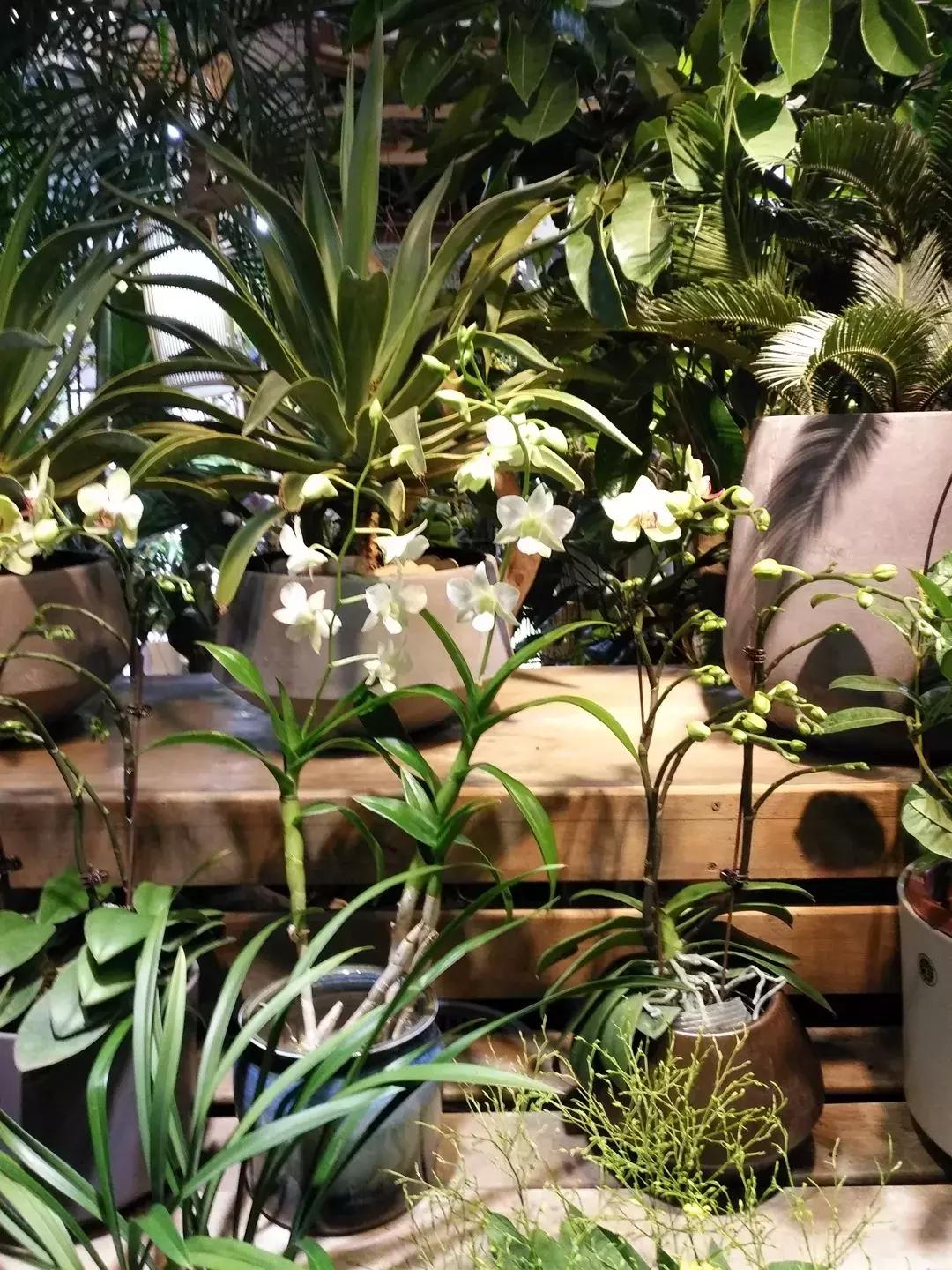 国内最治愈安静的地方,北京小众又文艺的地方