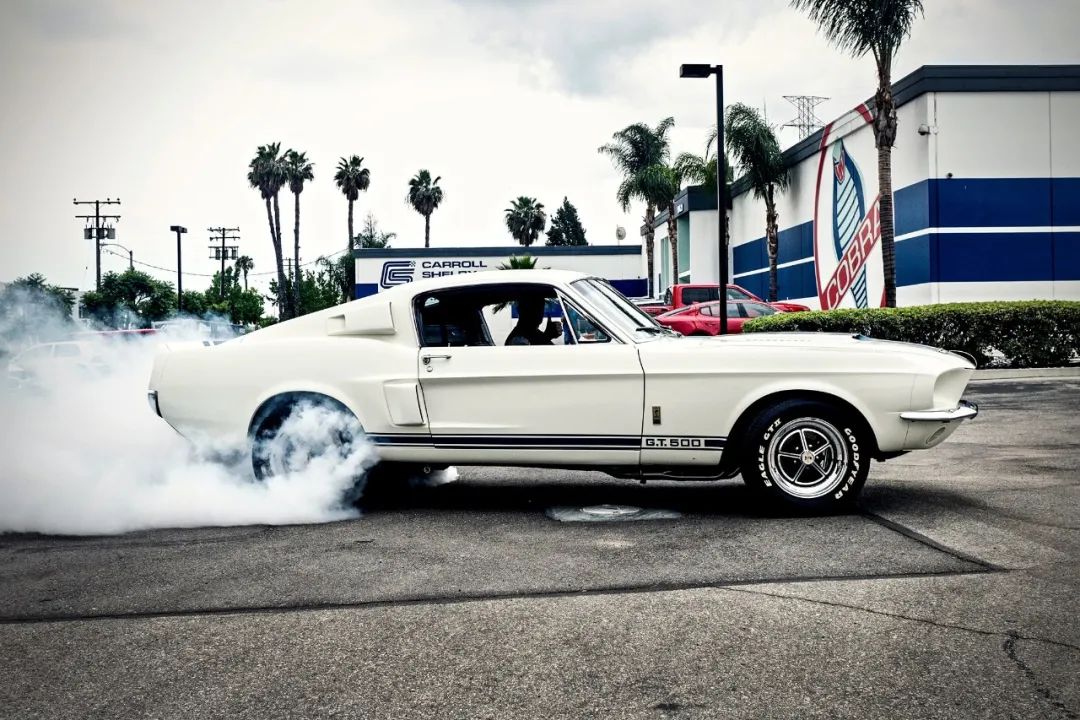 眼镜蛇野马最贵多少钱,最高级的帅野马