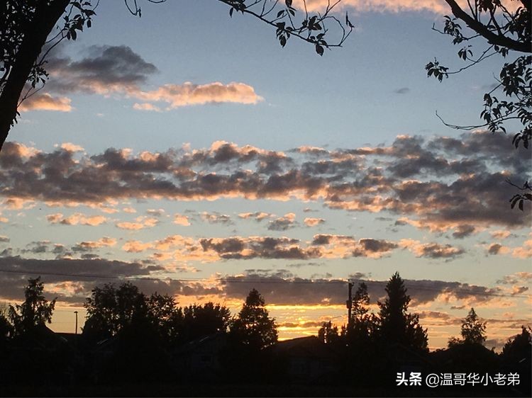 加拿大_WestRichmond西列治文社区夏秋