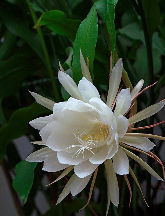 刘柏荣的诗词,刘柏荣诗词点评