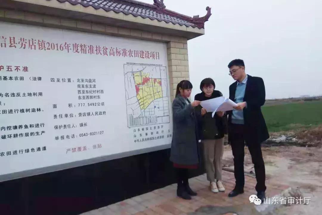 这一年收获颇丰,这一年收获了太多的温暖与感动