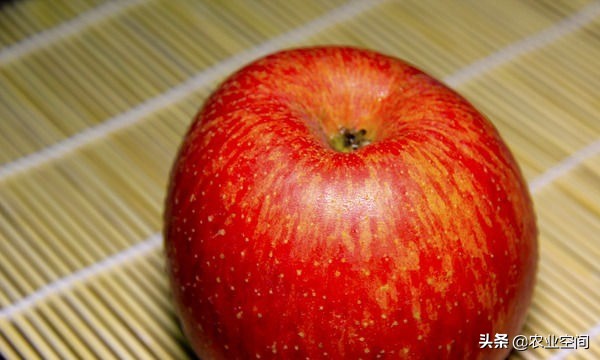 苹果酒怎么酿才好喝又简单,做苹果酒用什么苹果好呢