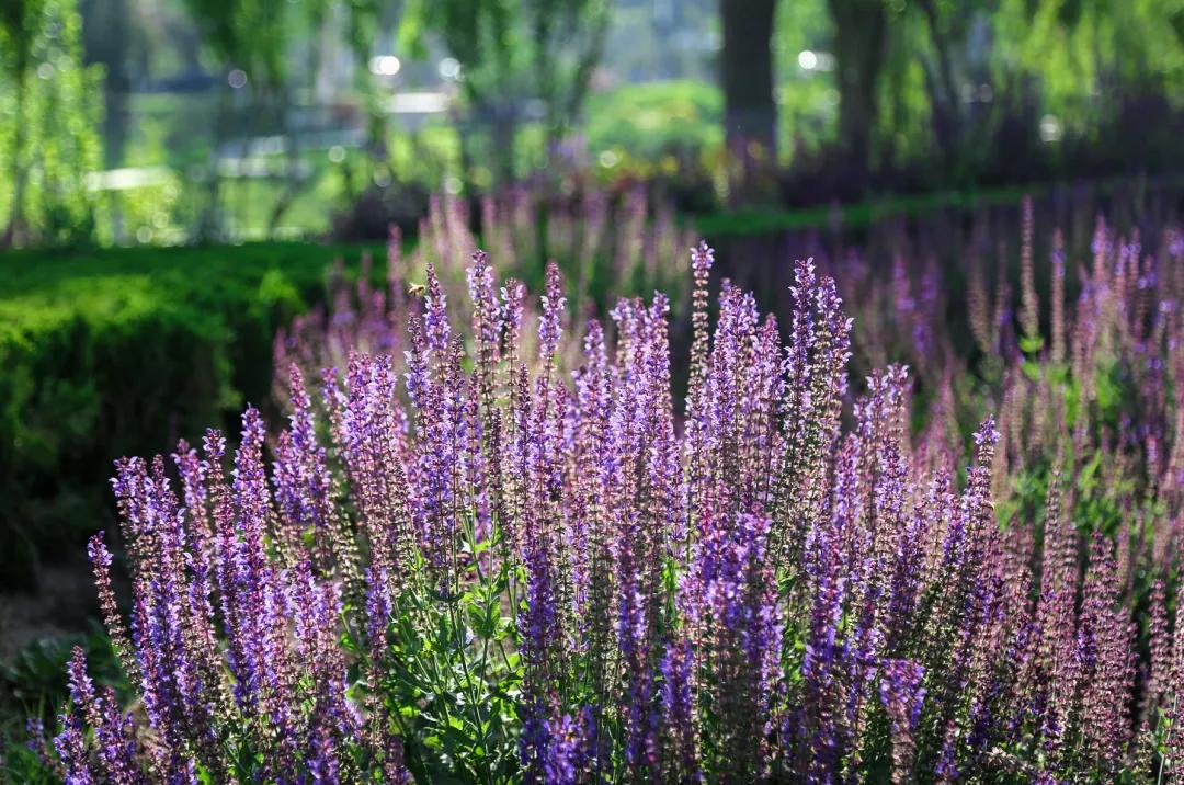 济南踏青旅游攻略,济南哪里的温泉适合带孩子去的