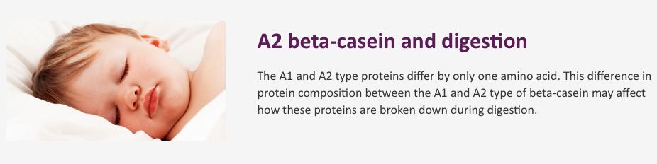奶粉澳洲a2高钙,奶粉澳洲进口a23段