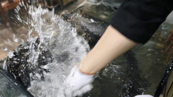 齐祺渔锅关门后怎么退会员卡,齐祺渔锅剩下的能吃不