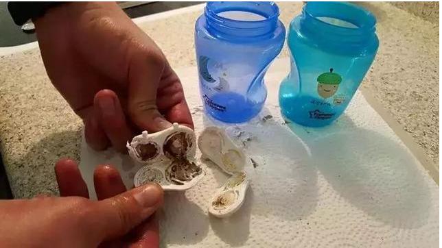 7岁男孩低烧不退,五岁男孩一直低烧不退是什么原因