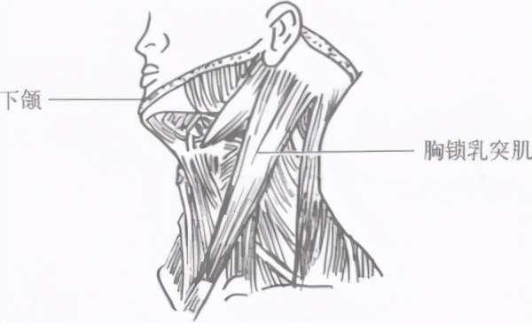 擒敌术体能训练,擒拿防身技击术