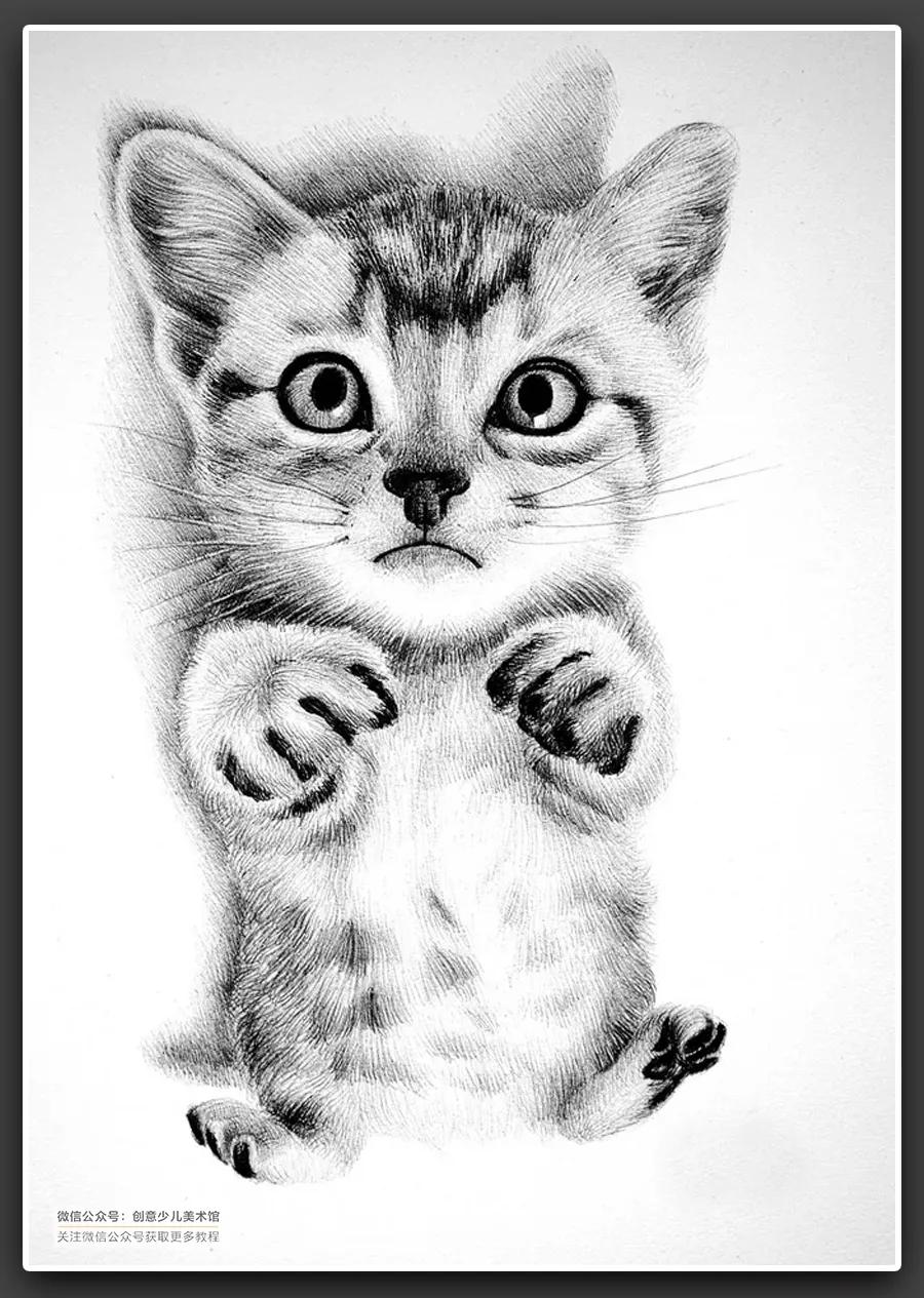 动物素描毛发细节教程,6-12岁儿童素描课程画动物