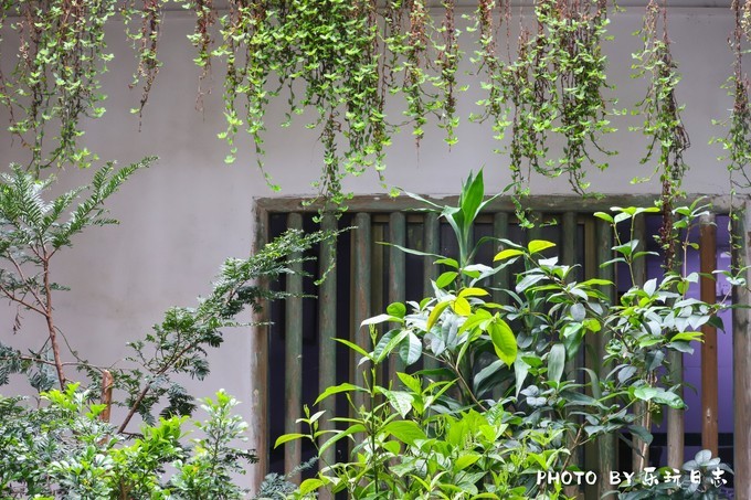 惠州东江十大美食,正宗惠州东江菜