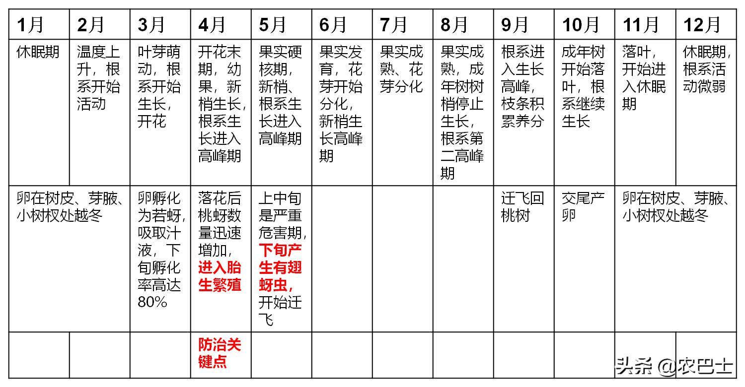 桃花虽美下一句是什么,防治桃蚜最好的药
