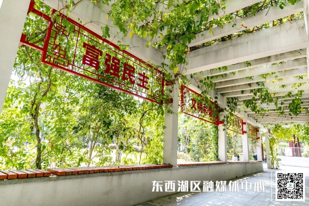 文明社区图片,文明社区简介