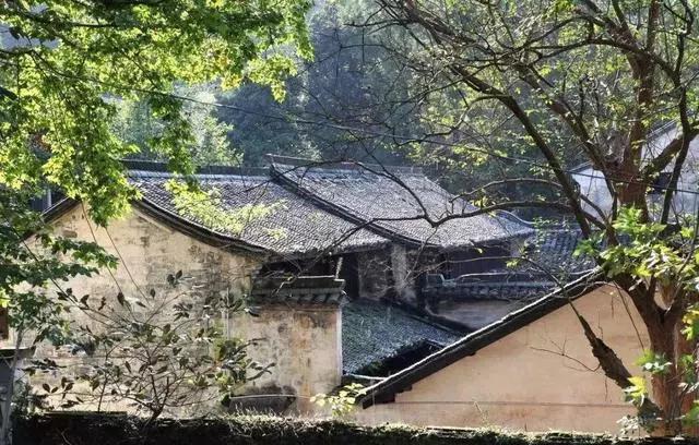 绍兴嵊州最美古村,绍兴最美古村落自驾游线路