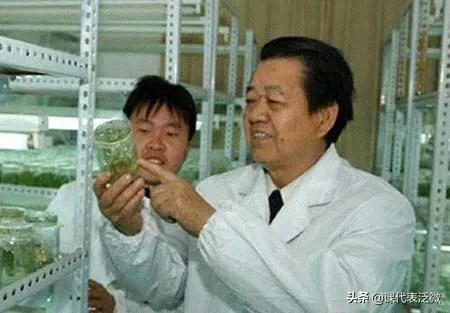 你不知道的袁隆平：浪里白条、预备飞行员、油炸鬼、臭水沟捞宝贝