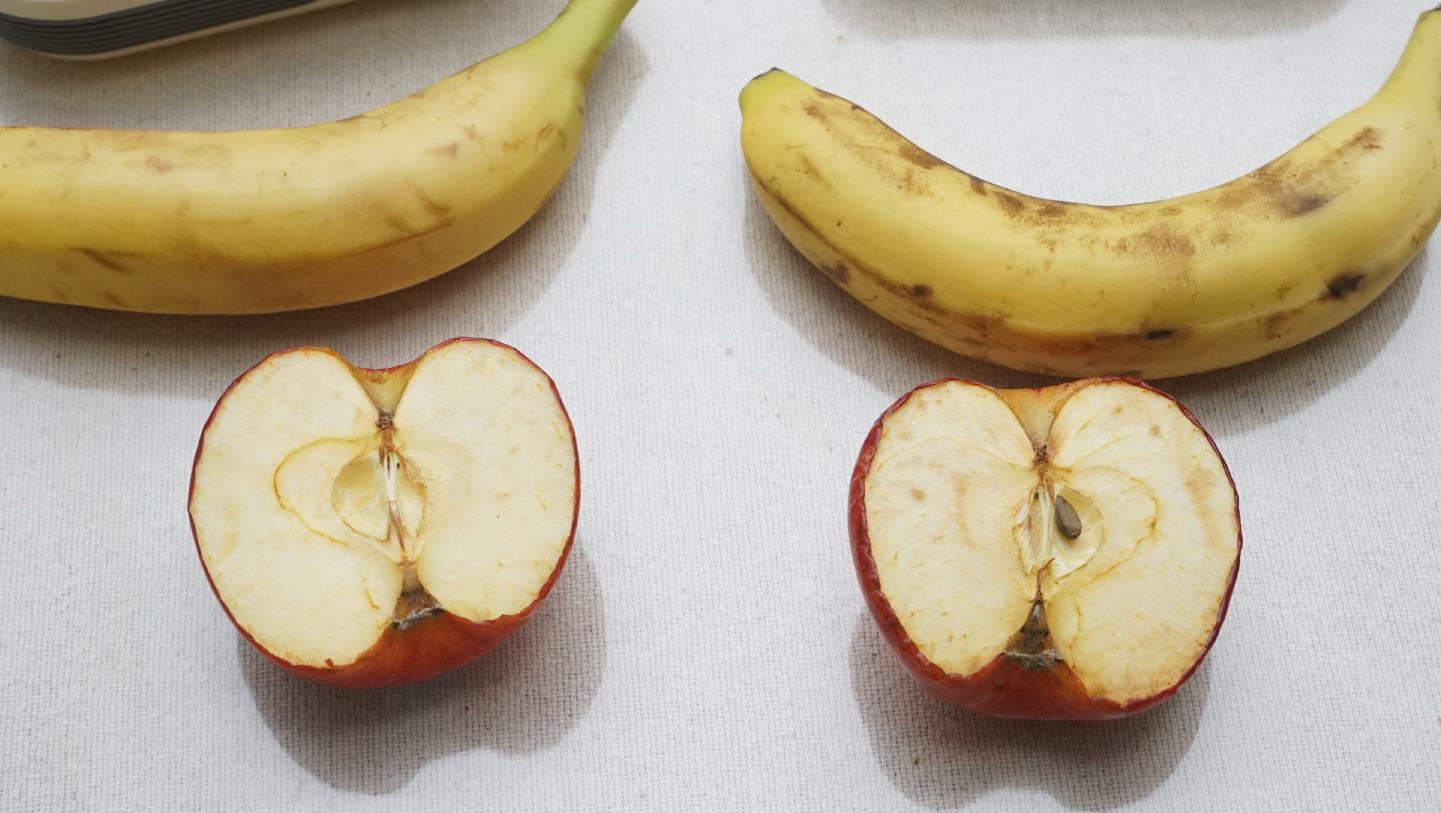 海信259升三门节能冰箱,海信1级4开门无霜节能冰箱价位