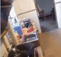 搞笑gif你们这些城里人太会玩了,搞笑gif逗比的世界你永远理解不了