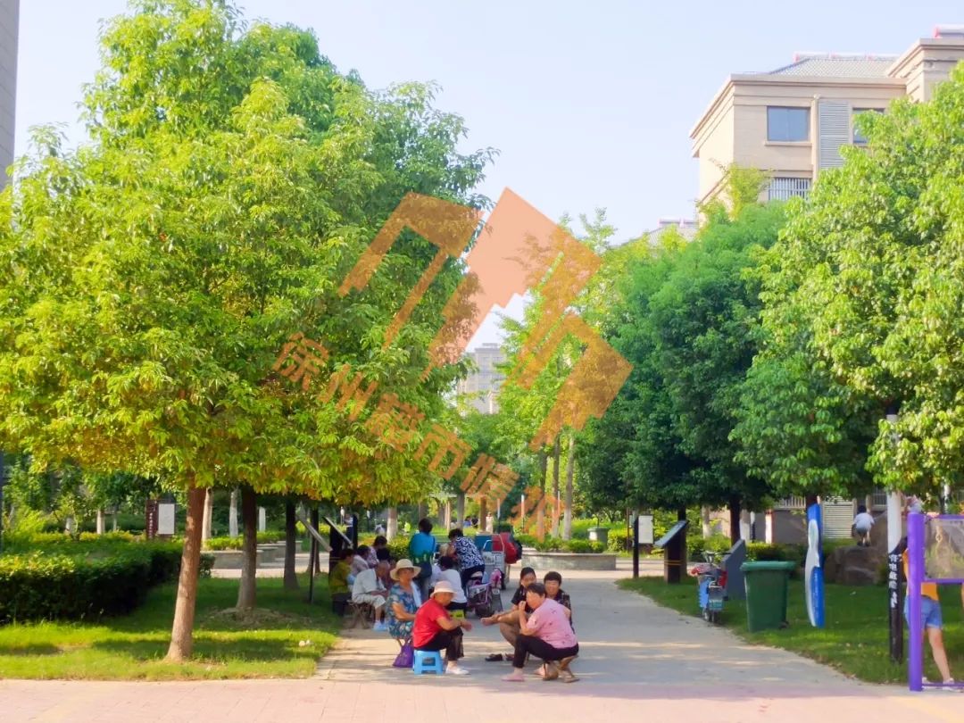 徐州奥体中心哪里的楼盘好,徐州地铁奥体中心