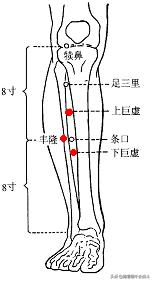 按摩胃经的正确手法和时间,按摩胃经穴有什么好处
