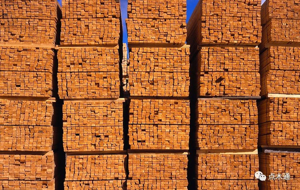 全国木材价格最新上涨消息,木材价格暴跌最新消息