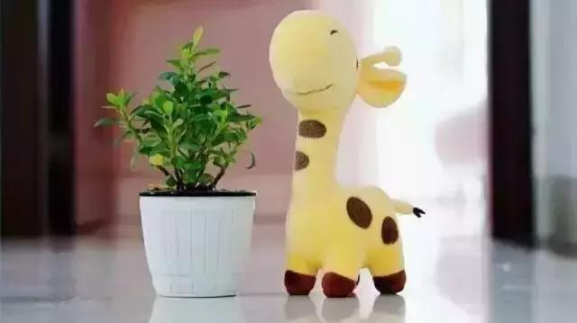 你的微信名暴露了你的层次,微信名出卖了你的阶层