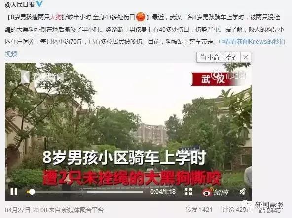 女子遛狗不牵绳！男子遭狗撕咬*体下**受伤，狗主人四天不露面