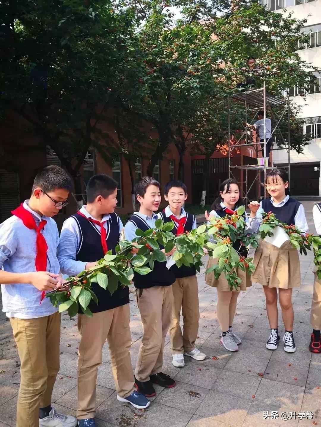 恩桃儿的视频,恩桃儿红了