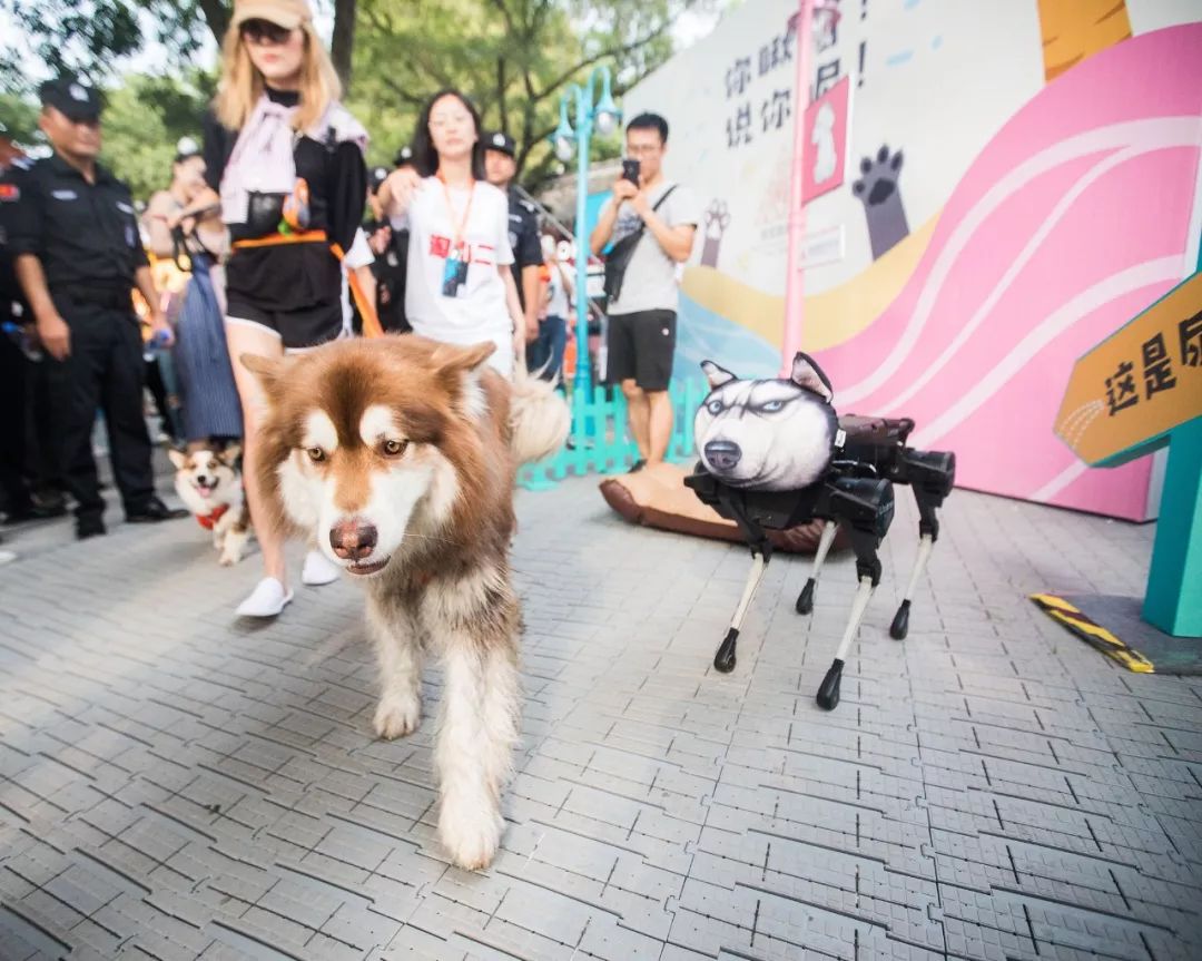 杭州为什么幸福感最好,杭州为什么最具幸福感