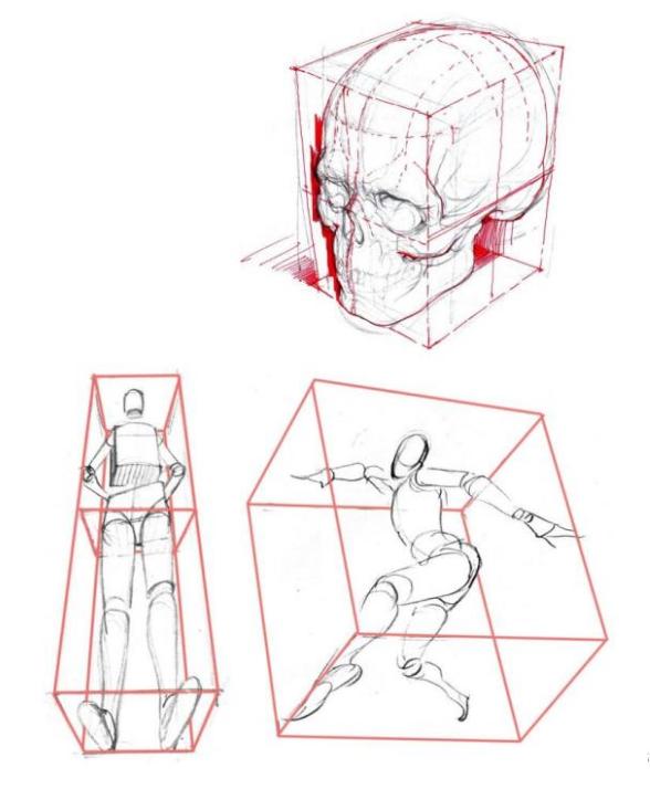 人体板绘入门基础知识,新手板绘自学入门教程