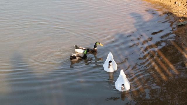 最美湖泊小众风景,最美湖泊西湖
