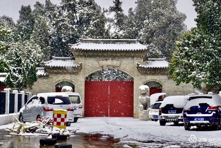 洛阳晚报作品,洛阳晚报2020年