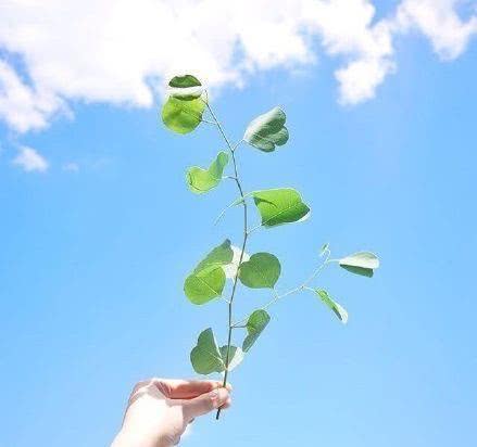 很有深意的阳光励志句子,致不甘平庸的你!