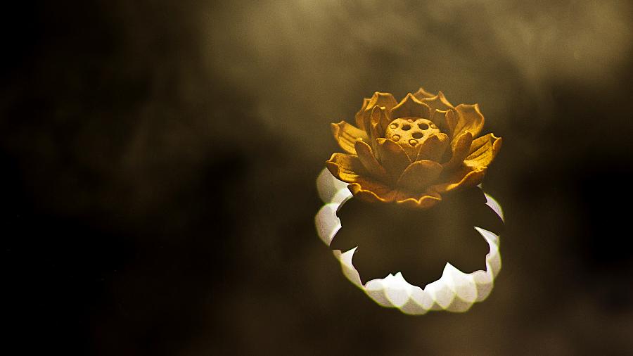 与癌共存30年,肝癌能活30年的秘密