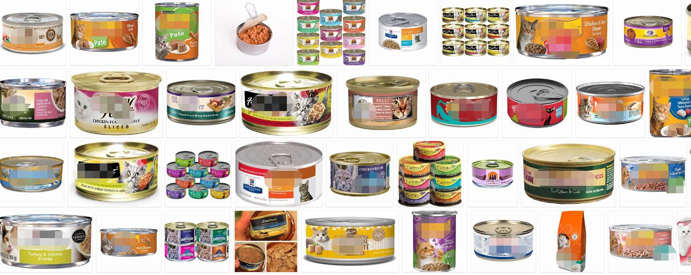 辟谣别再相信猫咪养不熟,辟谣猫咪并非黑夜都能看得清