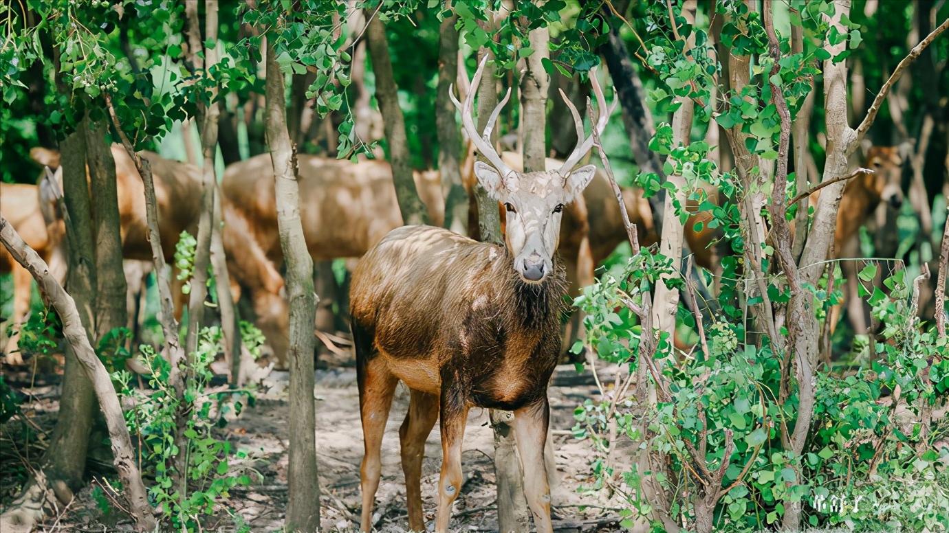 江苏省盐城市有哪些县和区,浅谈全国各省份